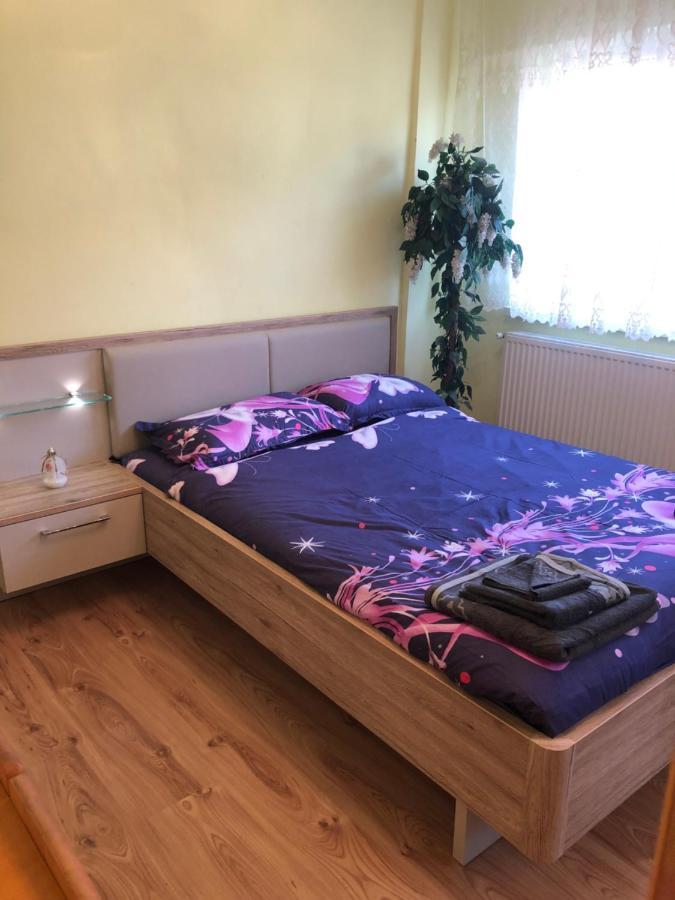 La Symo Apartament Straja Lupeni Lupeni  Buitenkant foto
