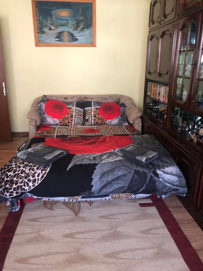 La Symo Apartament Straja Lupeni Lupeni  Buitenkant foto