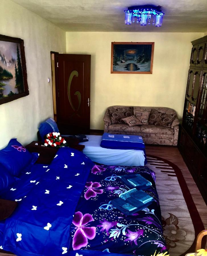La Symo Apartament Straja Lupeni Lupeni  Buitenkant foto