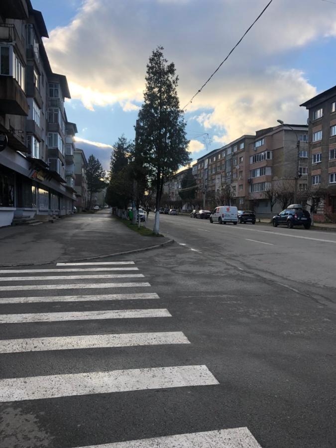 La Symo Apartament Straja Lupeni Lupeni  Buitenkant foto