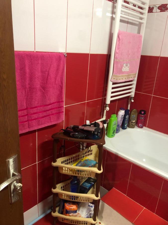 La Symo Apartament Straja Lupeni Lupeni  Buitenkant foto