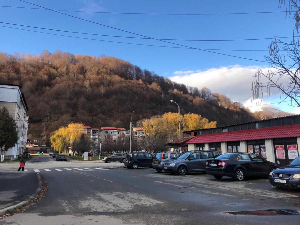 La Symo Apartament Straja Lupeni Lupeni  Buitenkant foto