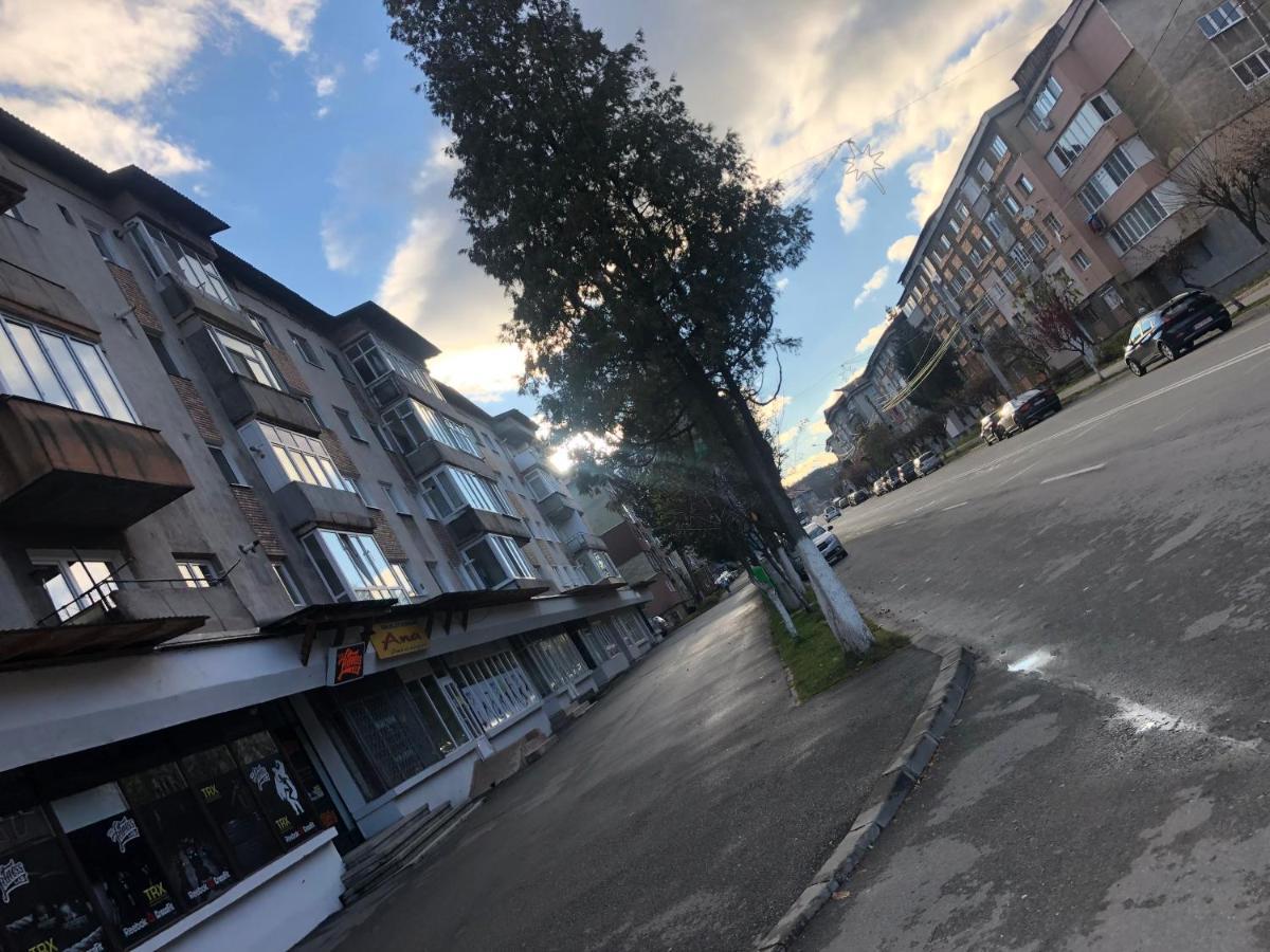La Symo Apartament Straja Lupeni Lupeni  Buitenkant foto